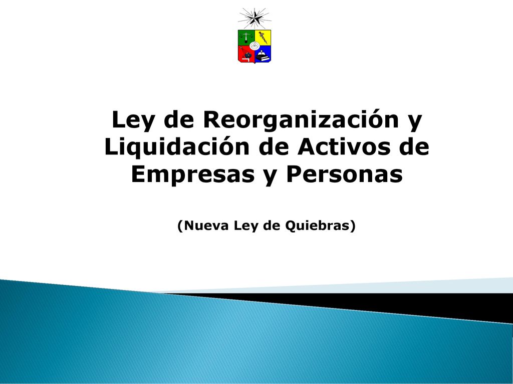 Ley de Reorganización y Liquidación de Activos de Empresas y Personas