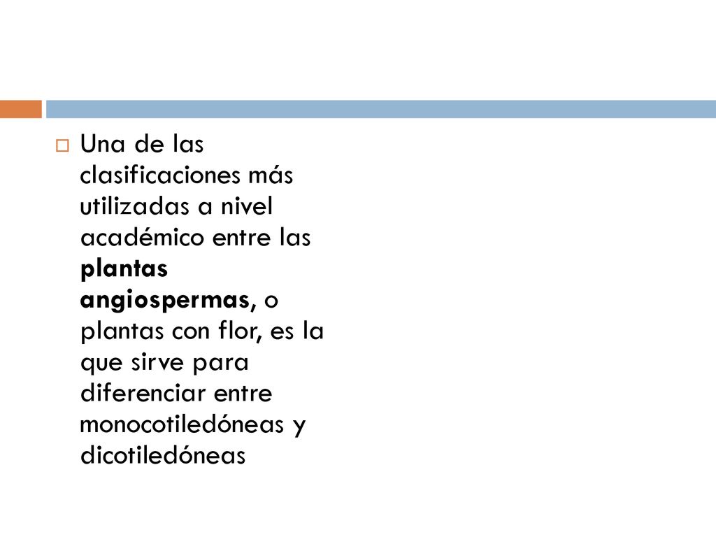 Una de las clasificaciones más utilizadas a nivel académico entre las plantas angiospermas, o plantas con flor, es la que sirve para diferenciar entre monocotiledóneas y dicotiledóneas