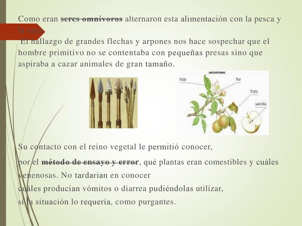 Como eran seres omnívoros alternaron esta alimentación con la pesca y la caza.