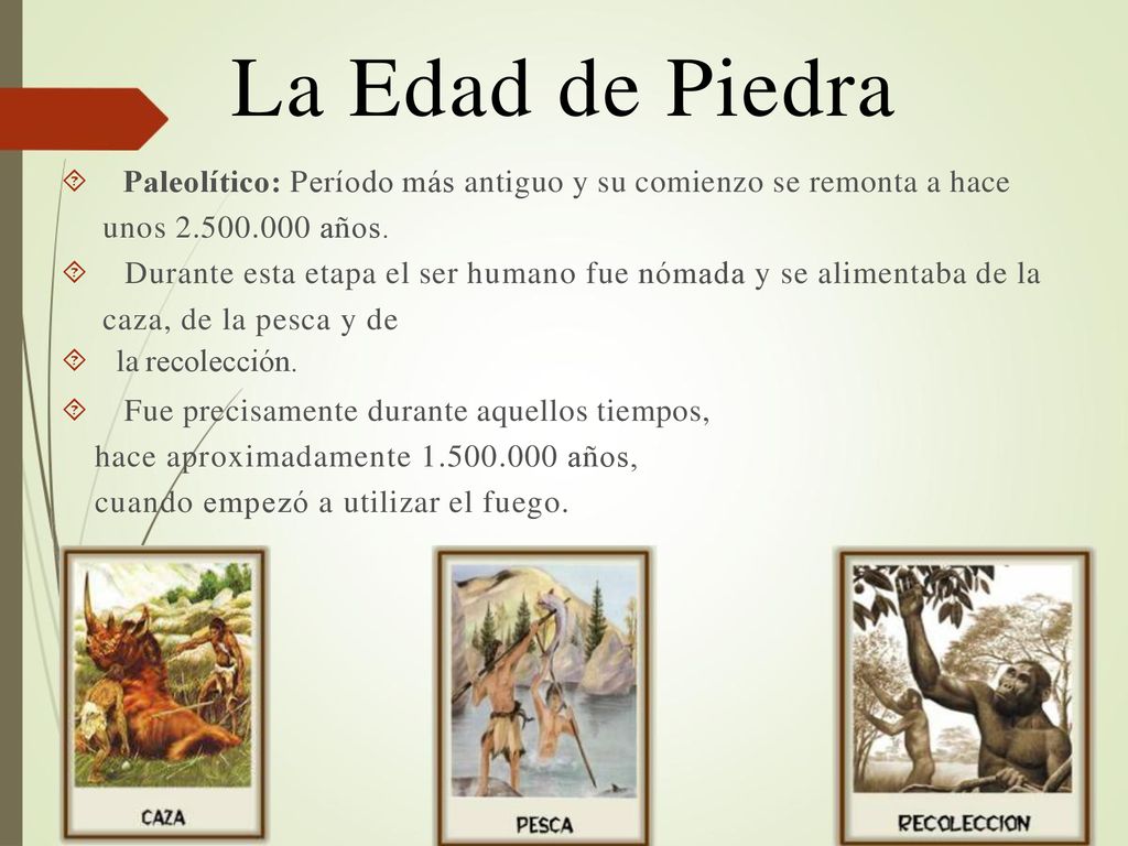 La Edad de Piedra  Paleolítico: Período más antiguo y su comienzo se remonta a hace unos años.