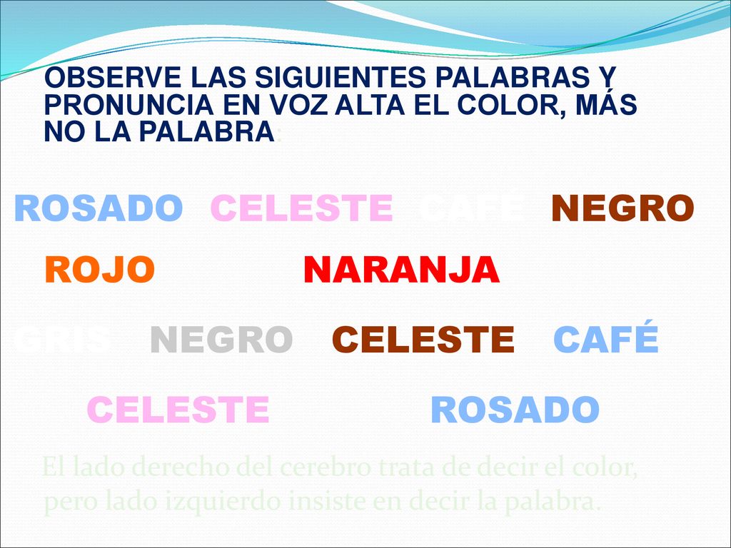 Gimnasia Cerebral Ejercicios Dr Elmer Rivera Mansilla Ppt Descargar