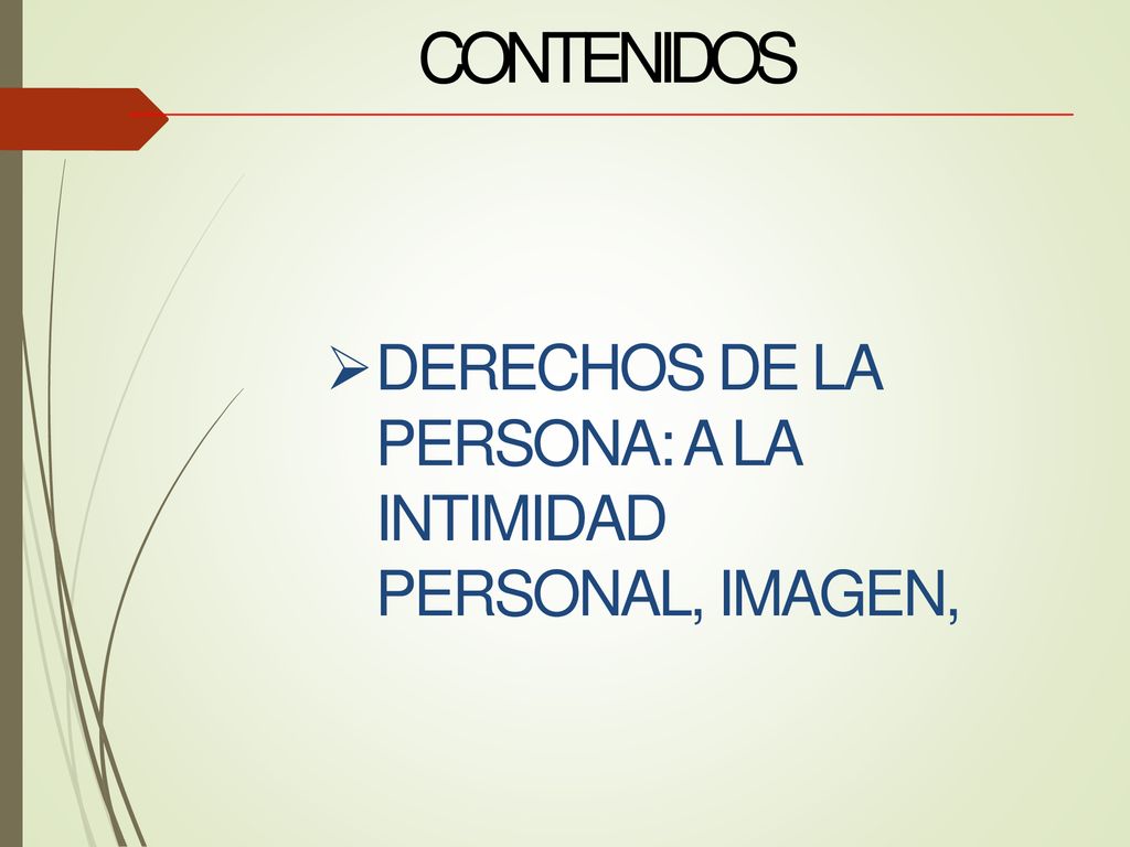 CONTENIDOS DERECHOS DE LA PERSONA: A LA INTIMIDAD PERSONAL, IMAGEN,