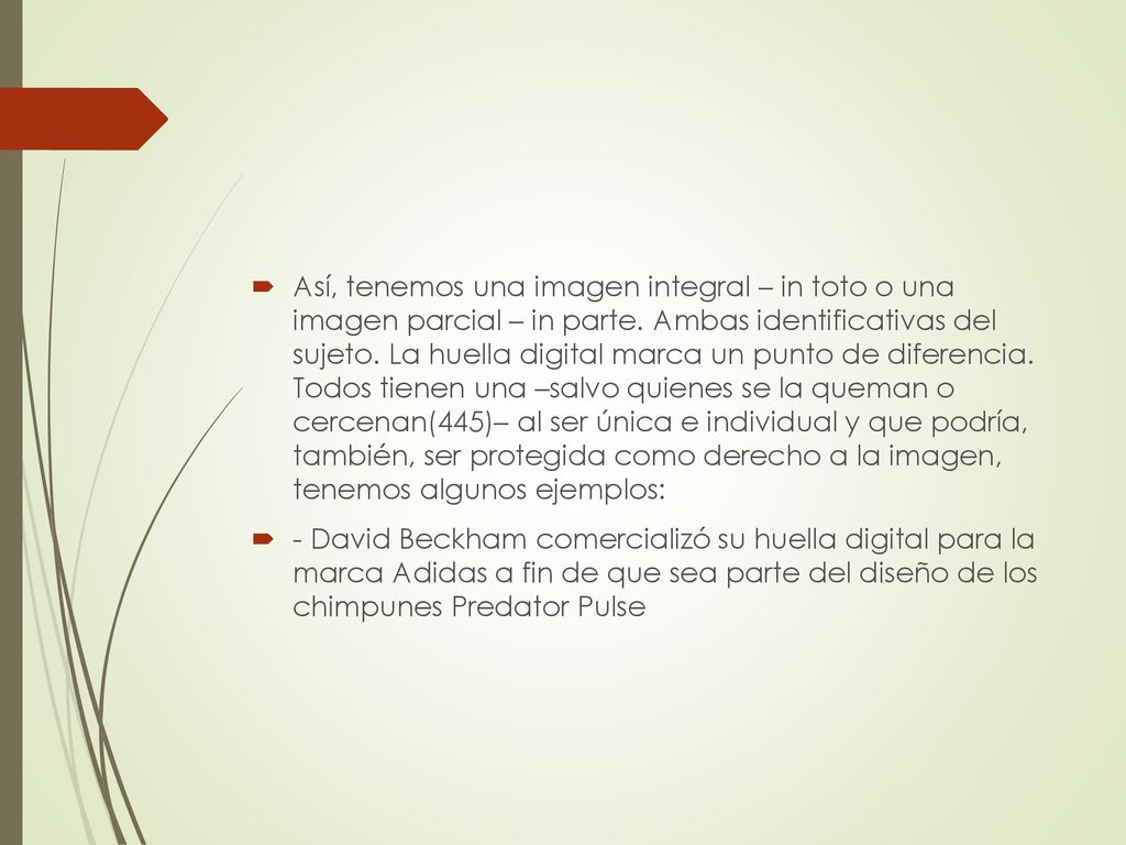 Así, tenemos una imagen integral – in toto o una imagen parcial – in parte. Ambas identificativas del sujeto. La huella digital marca un punto de diferencia. Todos tienen una –salvo quienes se la queman o cercenan(445)– al ser única e individual y que podría, también, ser protegida como derecho a la imagen, tenemos algunos ejemplos: