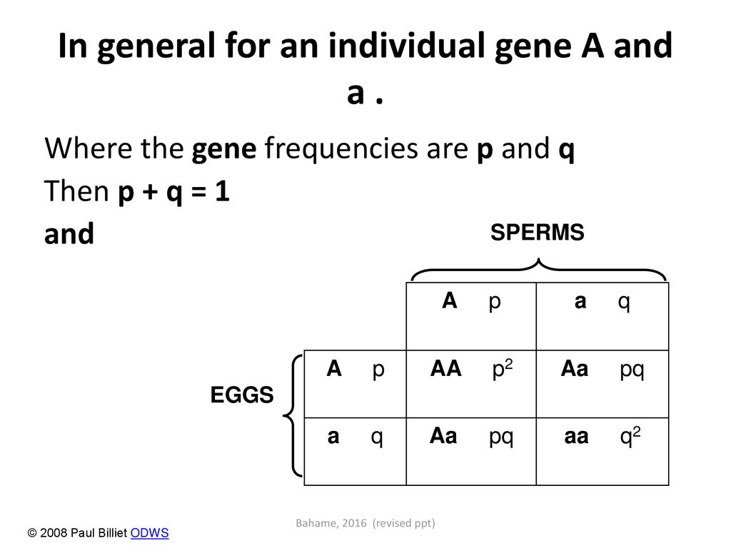 In general for an individual gene A and a .