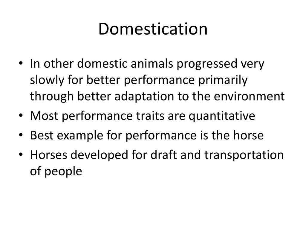 Domestication In other domestic animals progressed very slowly for better performance primarily through better adaptation to the environment.