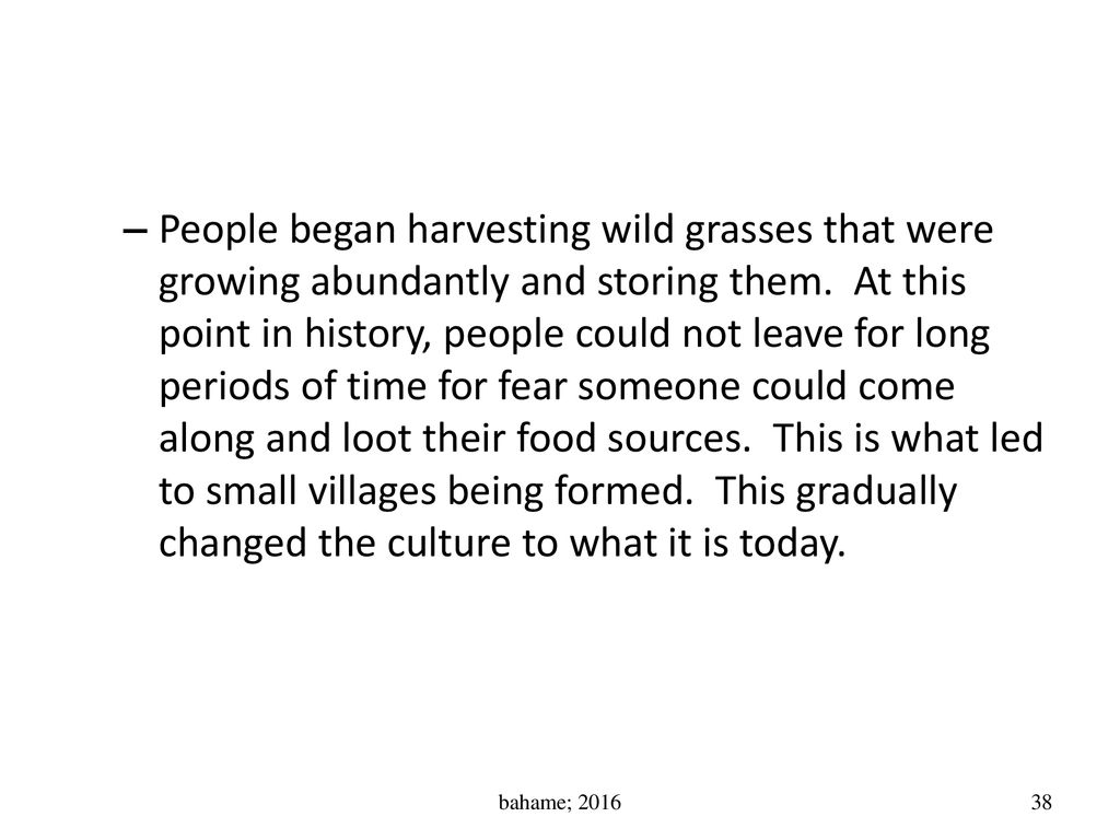 People began harvesting wild grasses that were growing abundantly and storing them. At this point in history, people could not leave for long periods of time for fear someone could come along and loot their food sources. This is what led to small villages being formed. This gradually changed the culture to what it is today.