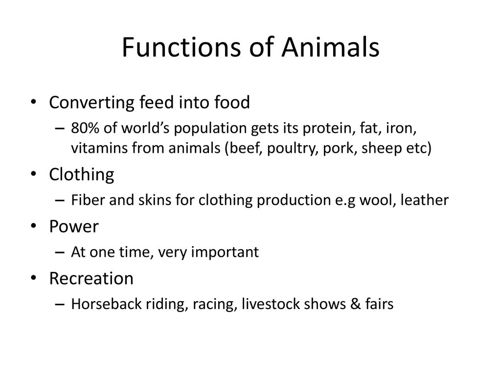 Functions of Animals Converting feed into food Clothing Power