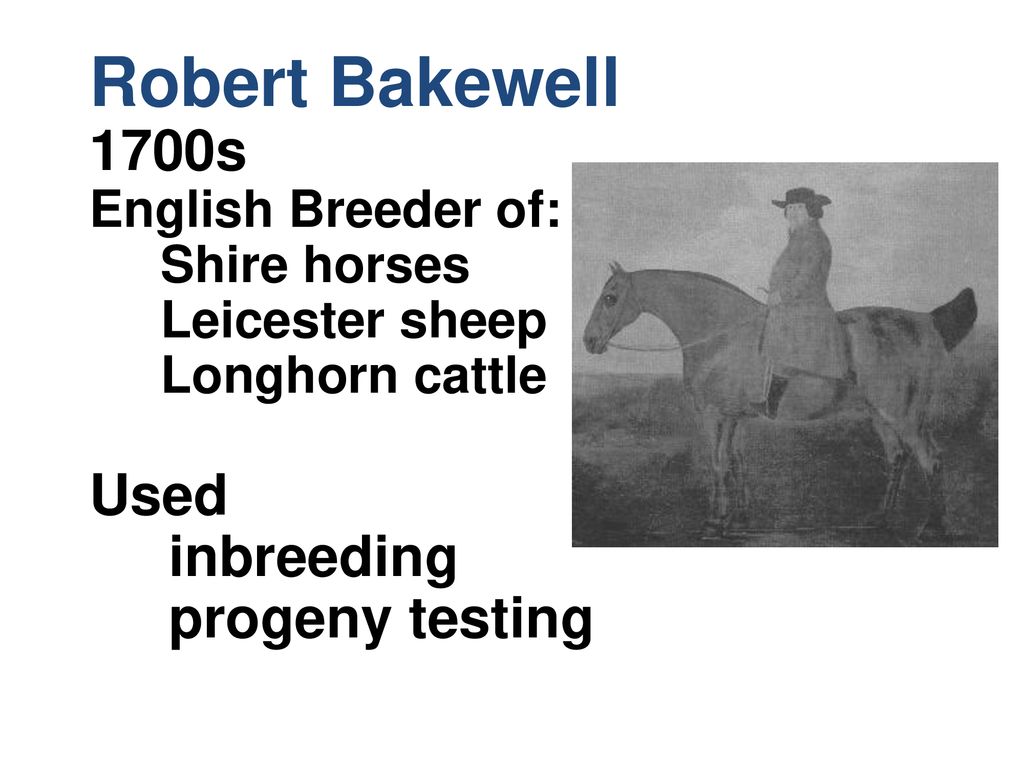 Robert Bakewell 1700s Used inbreeding progeny testing