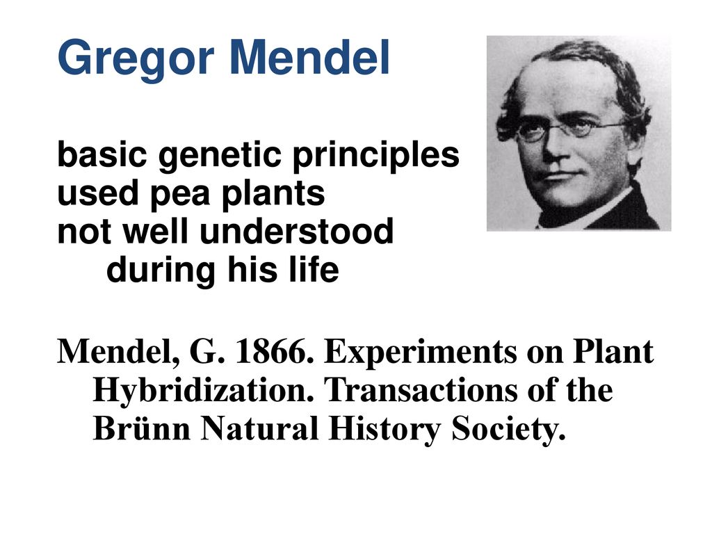Gregor Mendel basic genetic principles used pea plants