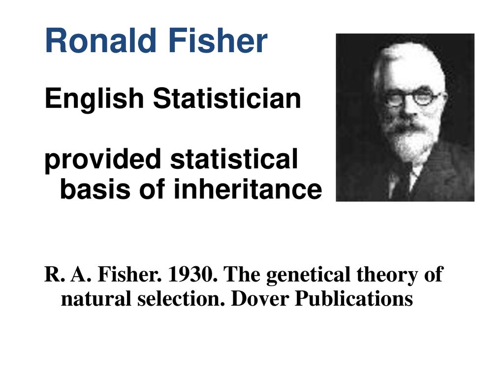 Ronald Fisher English Statistician provided statistical