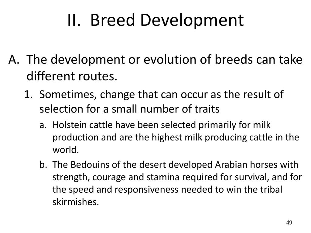 II. Breed Development The development or evolution of breeds can take different routes.