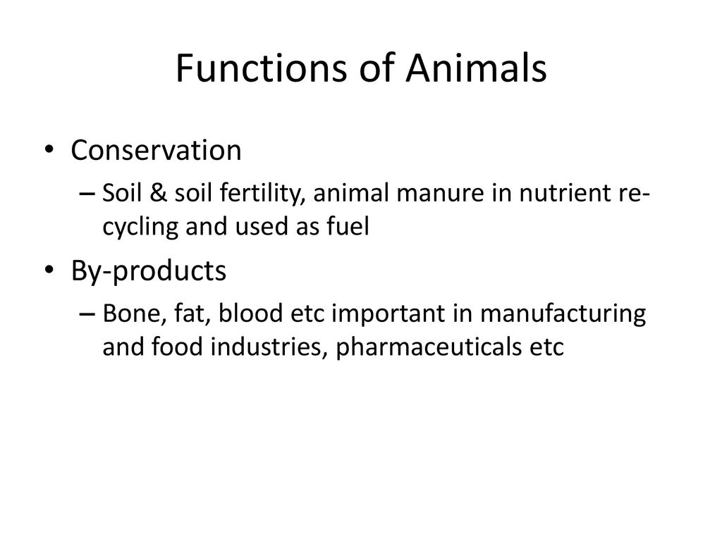Functions of Animals Conservation By-products