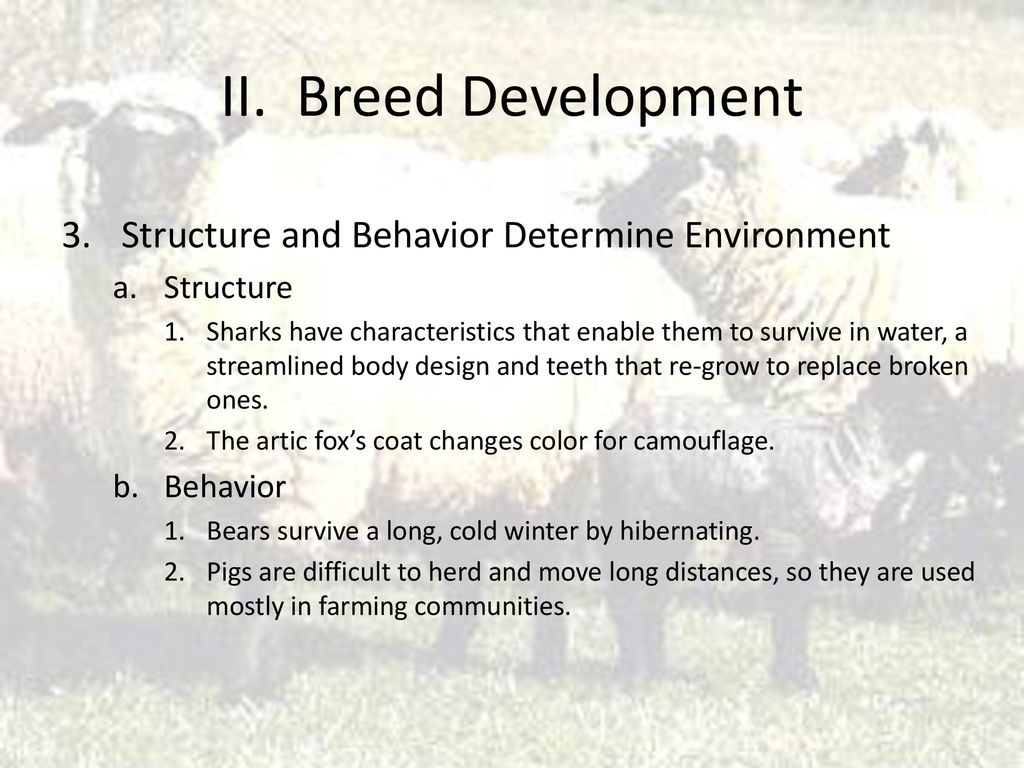II. Breed Development 3. Structure and Behavior Determine Environment