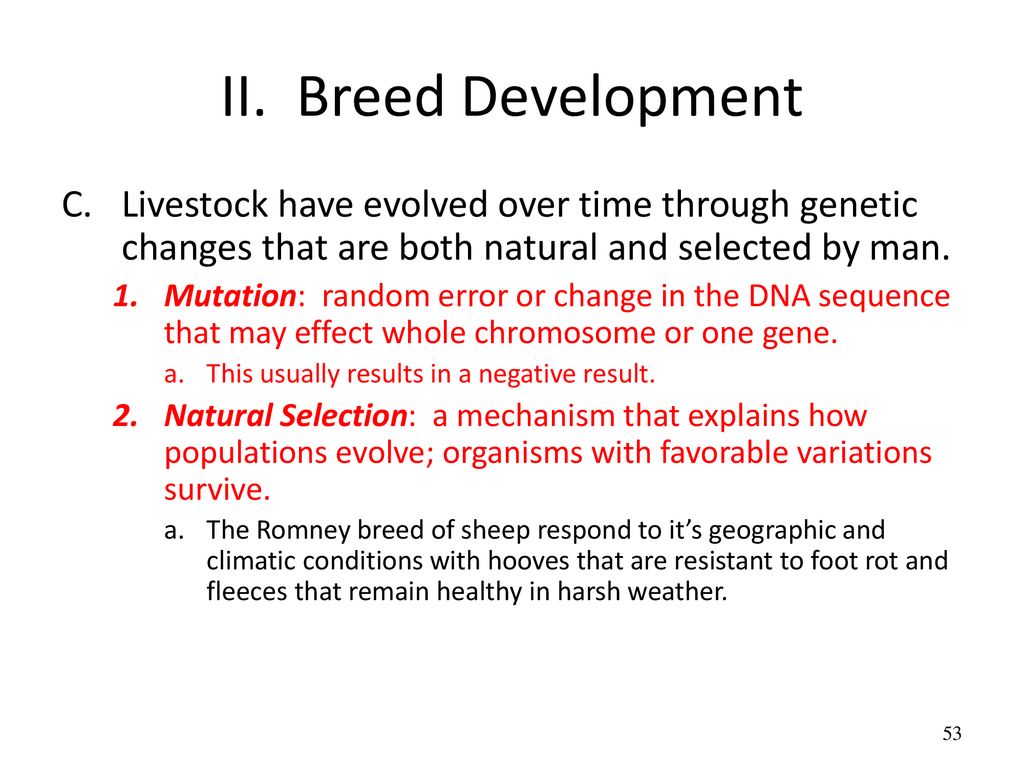 II. Breed Development C. Livestock have evolved over time through genetic changes that are both natural and selected by man.