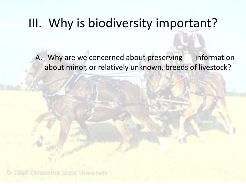 III. Why is biodiversity important