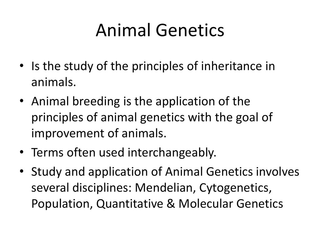 Animal Genetics Is the study of the principles of inheritance in animals.