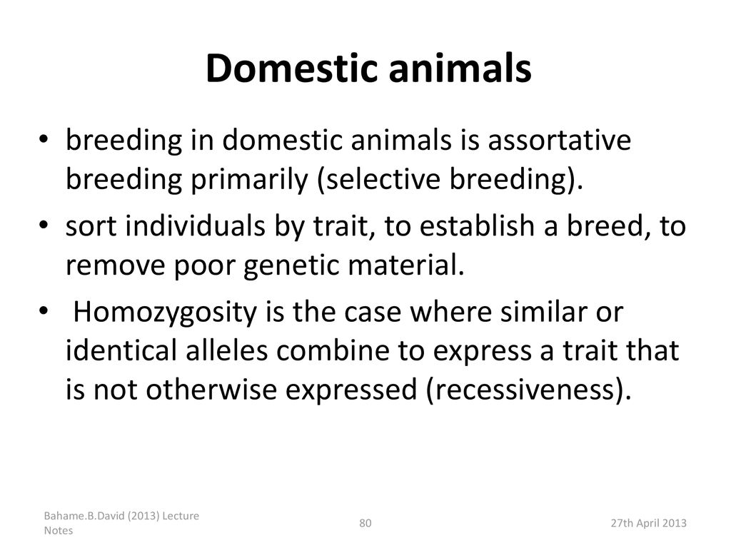 Domestic animals breeding in domestic animals is assortative breeding primarily (selective breeding).