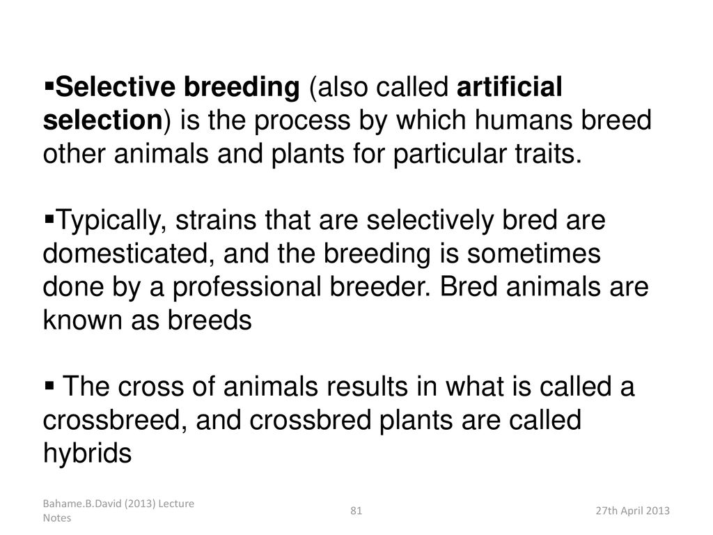 Selective breeding (also called artificial selection) is the process by which humans breed other animals and plants for particular traits.