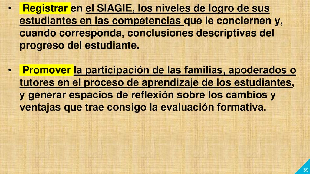 Registrar en el SIAGIE, los niveles de logro de sus estudiantes en las competencias que le conciernen y, cuando corresponda, conclusiones descriptivas del progreso del estudiante.