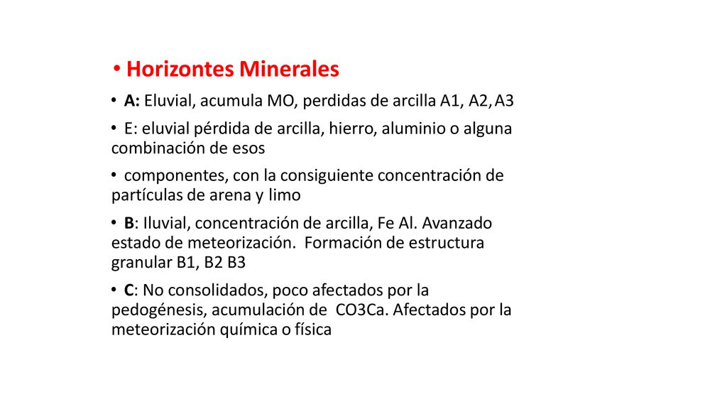 Horizontes Minerales A: Eluvial, acumula MO, perdidas de arcilla A1, A2, A3.