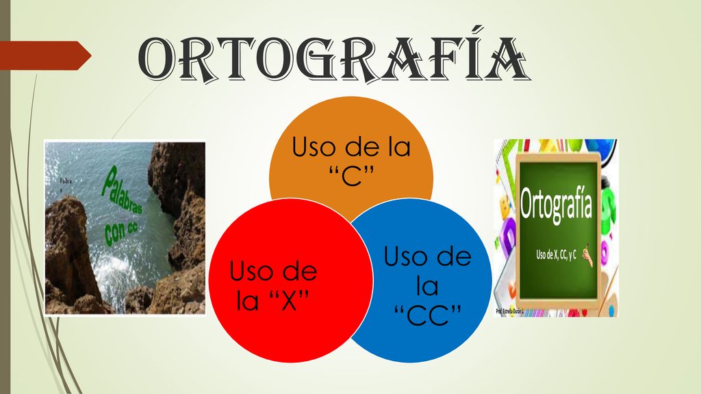 Ortografía Uso de la C Uso de la CC Uso de la X