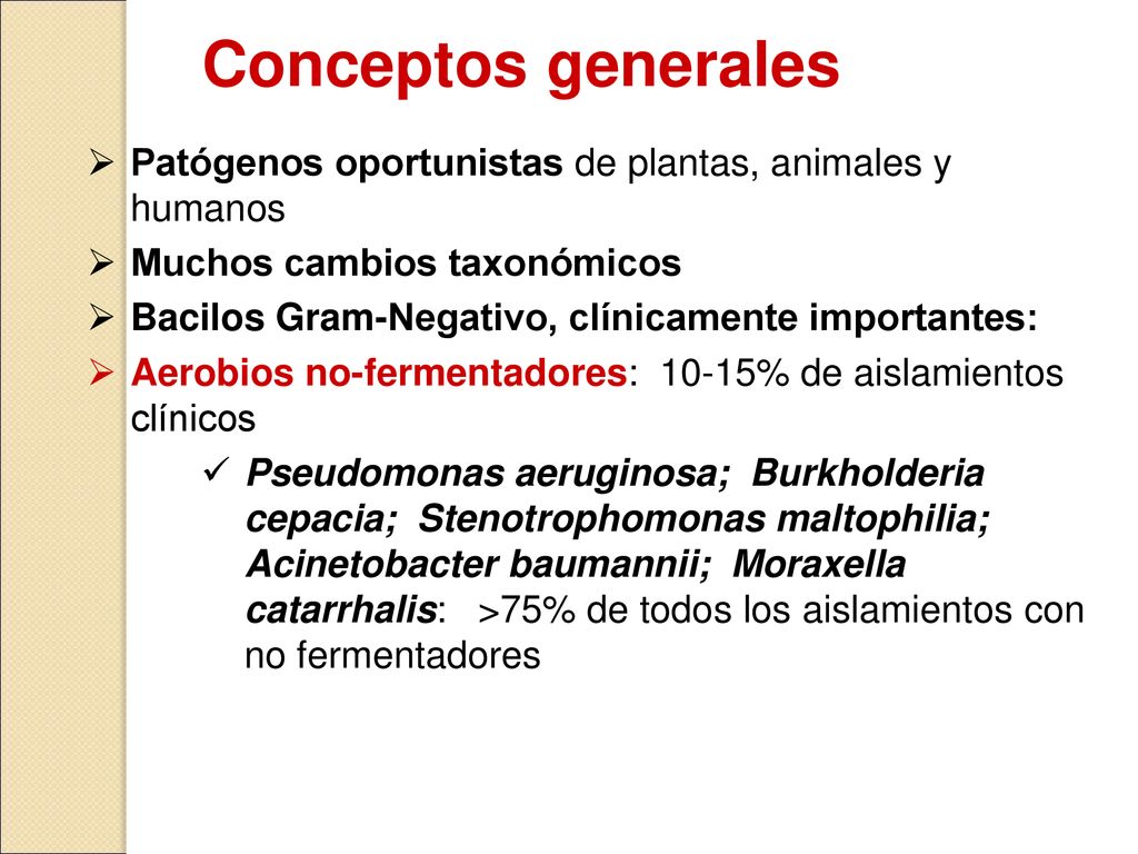 Conceptos generales Patógenos oportunistas de plantas, animales y humanos. Muchos cambios taxonómicos.