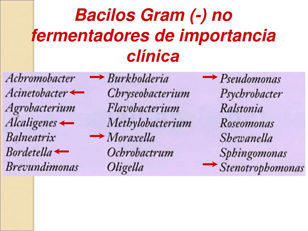 Bacilos Gram (-) no fermentadores de importancia clínica