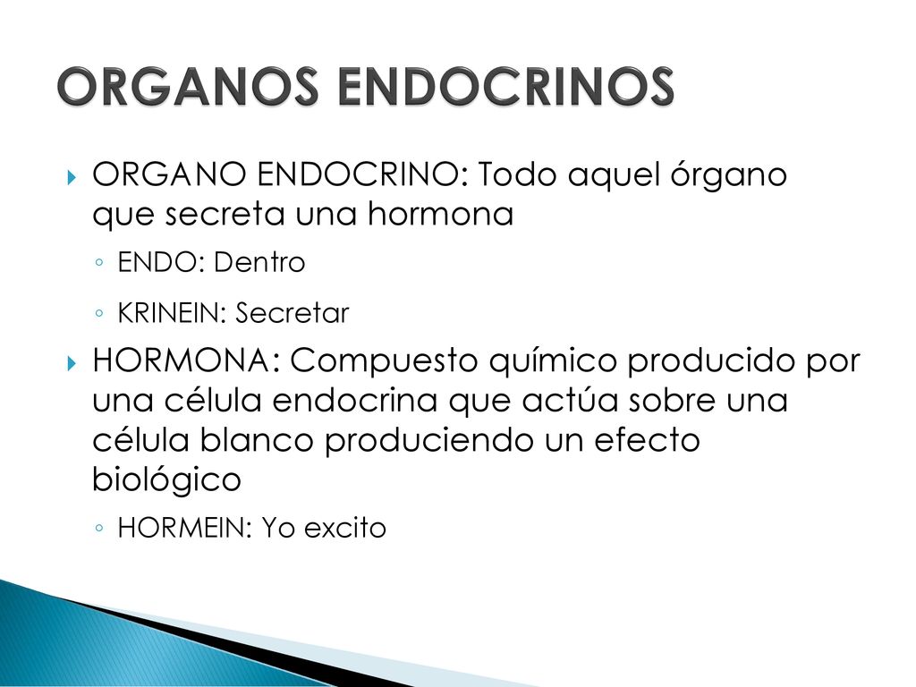 ORGANOS ENDOCRINOS ORGANO ENDOCRINO: Todo aquel órgano que secreta una hormona. ENDO: Dentro. KRINEIN: Secretar.