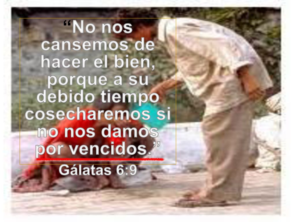 No nos cansemos de hacer el bien, porque a su debido tiempo cosecharemos si no nos damos por vencidos.