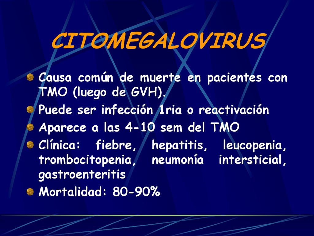 CITOMEGALOVIRUS Causa común de muerte en pacientes con TMO (luego de GVH). Puede ser infección 1ria o reactivación.