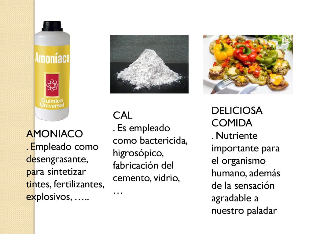 DELICIOSA COMIDA . Nutriente importante para el organismo humano, además de la sensación agradable a nuestro paladar.