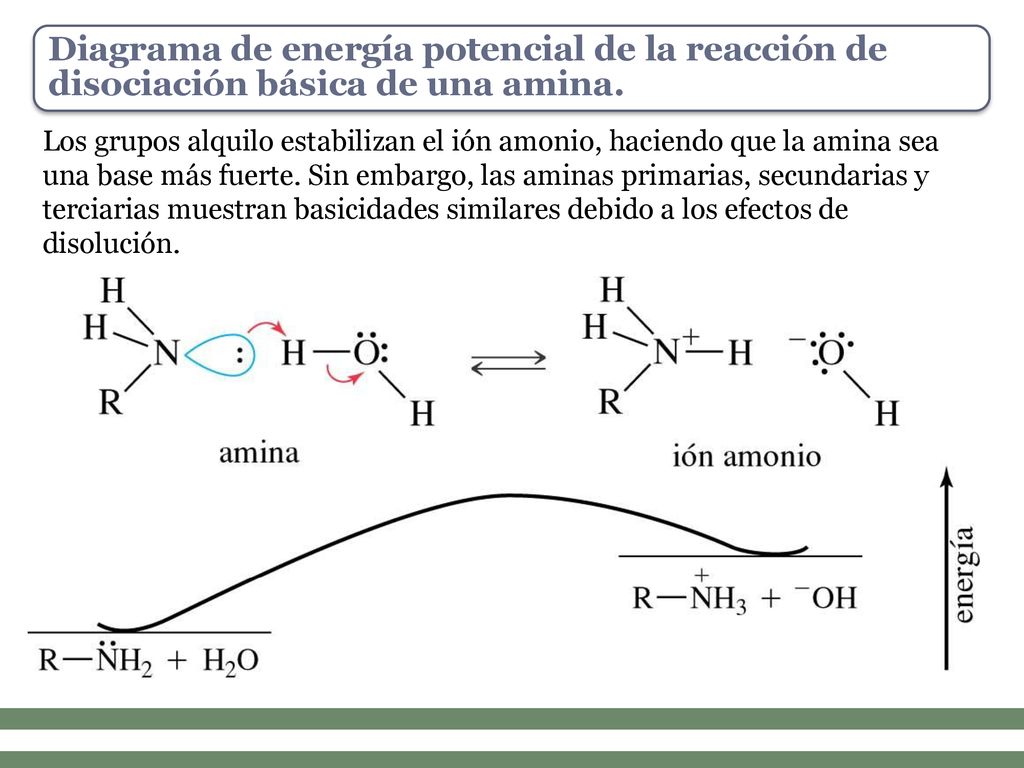 Diagrama de energía potencial de la reacción de disociación básica de una amina.