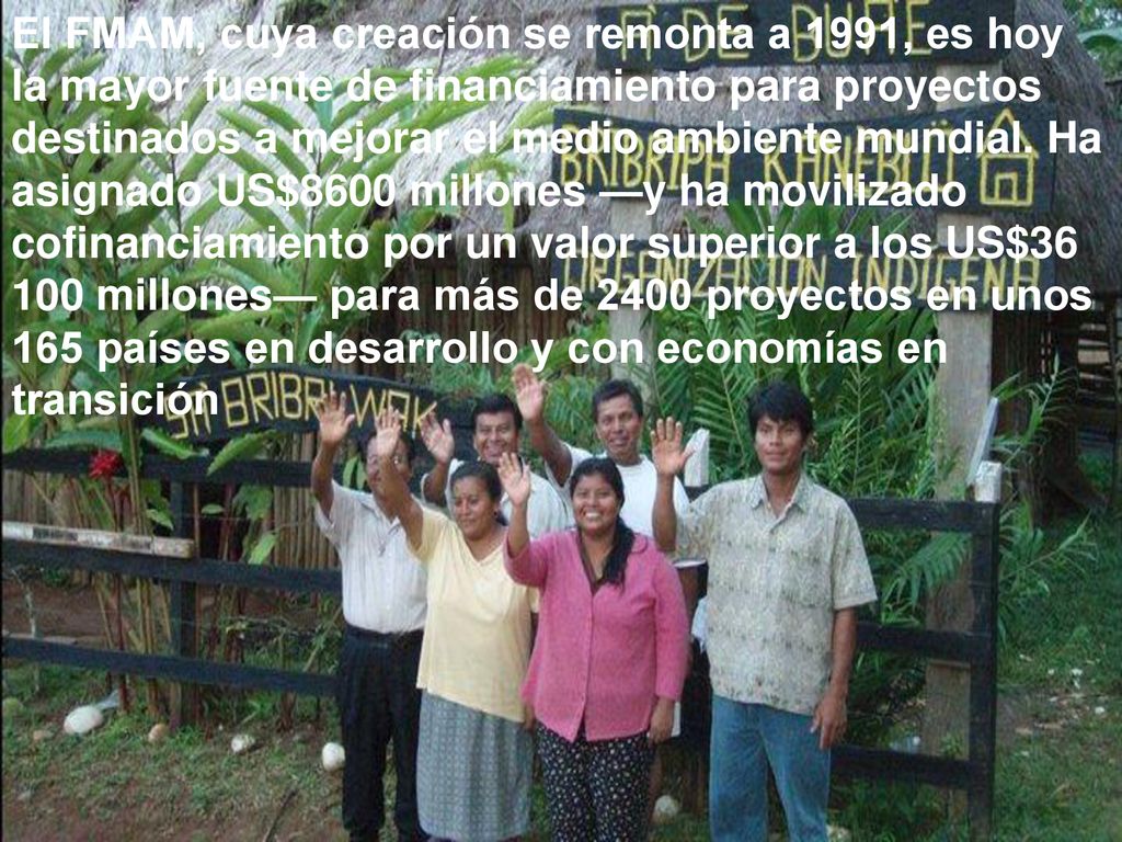 El FMAM, cuya creación se remonta a 1991, es hoy la mayor fuente de financiamiento para proyectos destinados a mejorar el medio ambiente mundial.