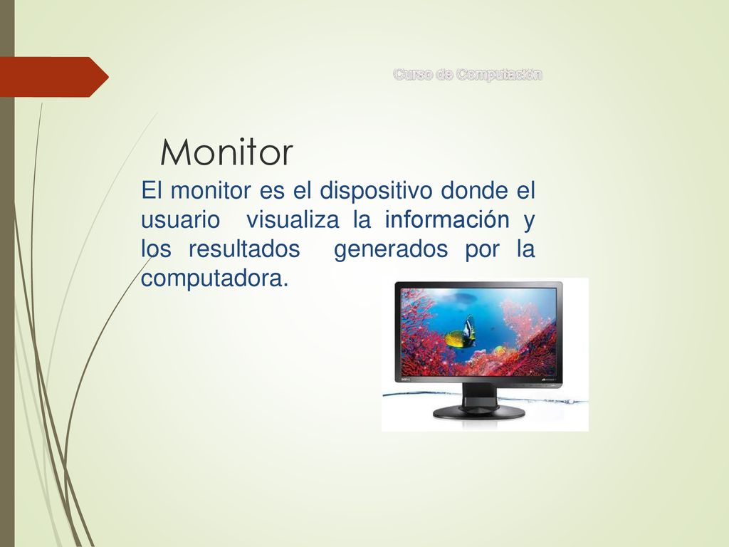 Monitor El monitor es el dispositivo donde el usuario visualiza la información y los resultados generados por la computadora.
