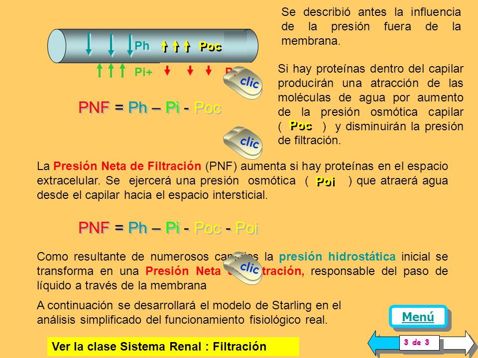 PNF = Ph – Pi - Poc PNF = Ph – Pi - Poc - Poi