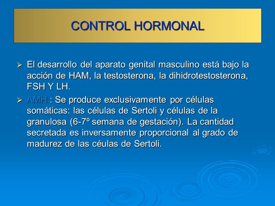 CONTROL HORMONAL El desarrollo del aparato genital masculino está bajo la acción de HAM, la testosterona, la dihidrotestosterona, FSH Y LH.