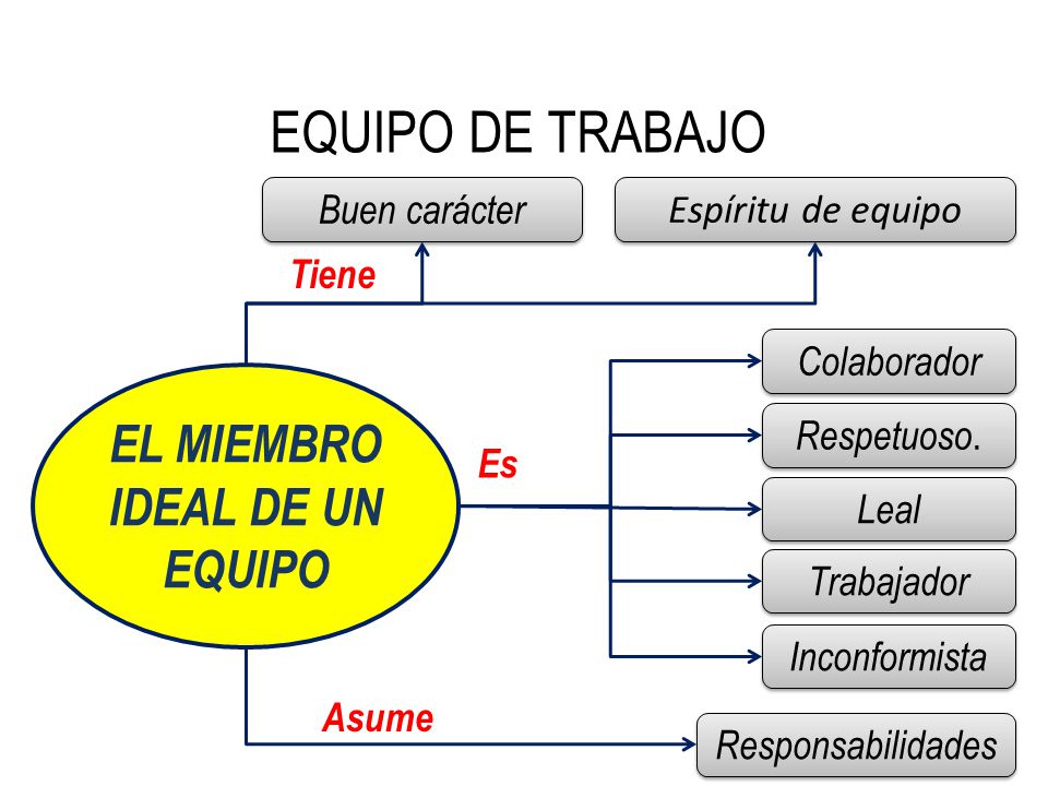 EL MIEMBRO IDEAL DE UN EQUIPO