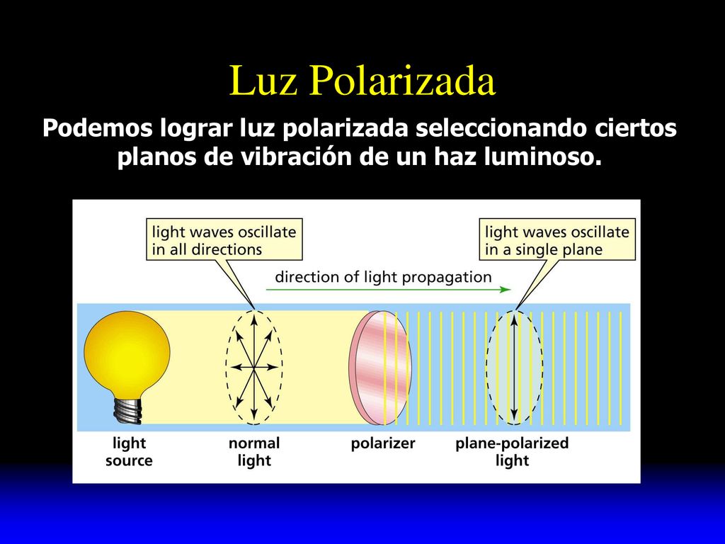 Luz Polarizada Podemos lograr luz polarizada seleccionando ciertos planos de vibración de un haz luminoso.