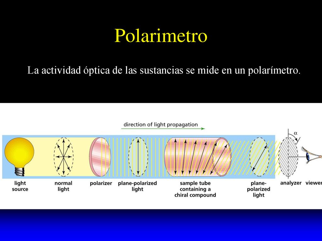 Polarimetro La actividad óptica de las sustancias se mide en un polarímetro.