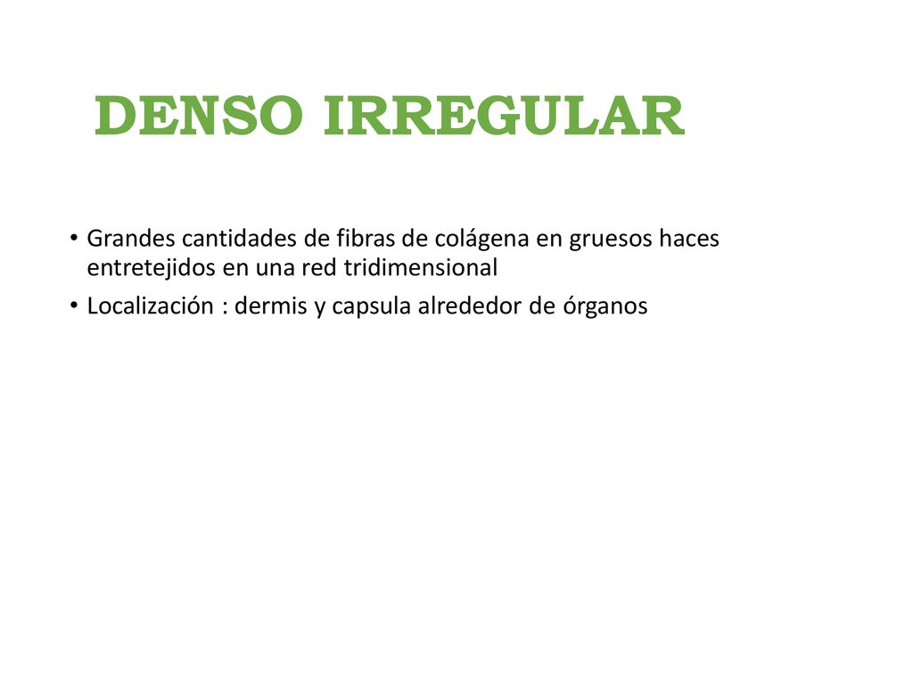 DENSO IRREGULAR Grandes cantidades de fibras de colágena en gruesos haces entretejidos en una red tridimensional.