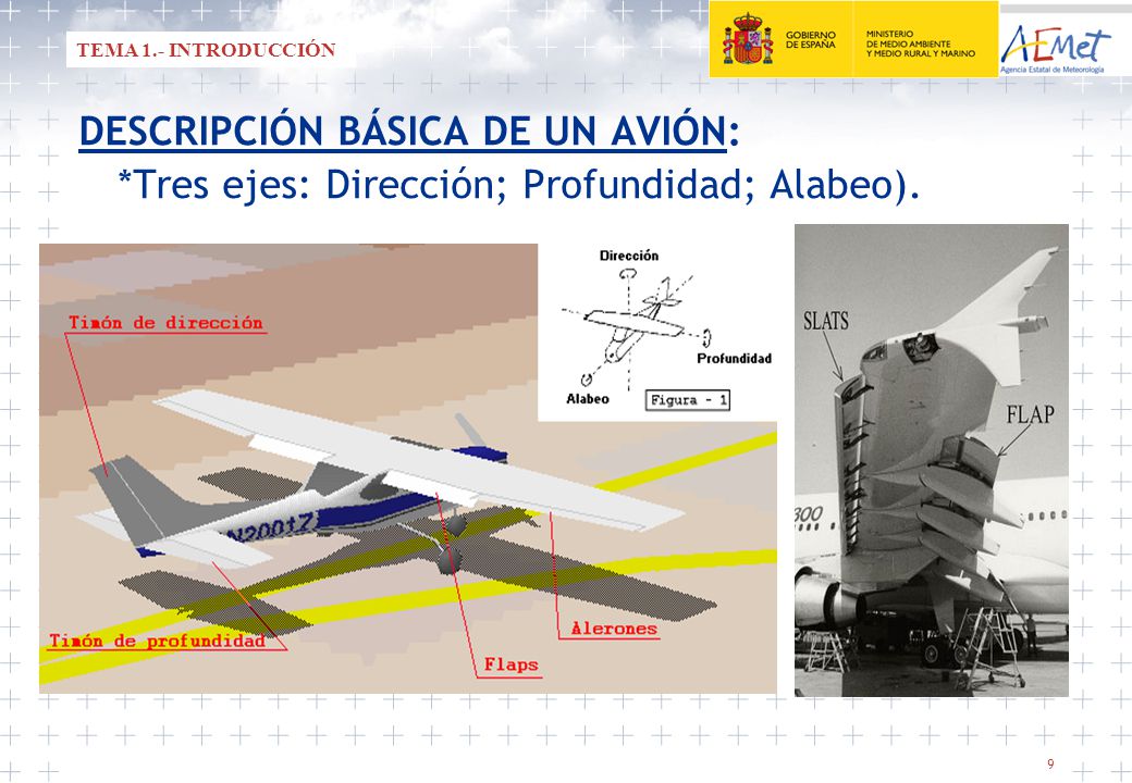 DESCRIPCIÓN BÁSICA DE UN AVIÓN: