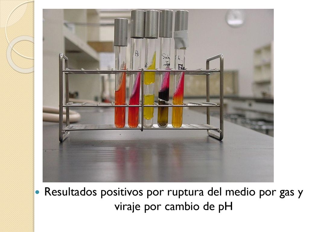 Resultados positivos por ruptura del medio por gas y viraje por cambio de pH