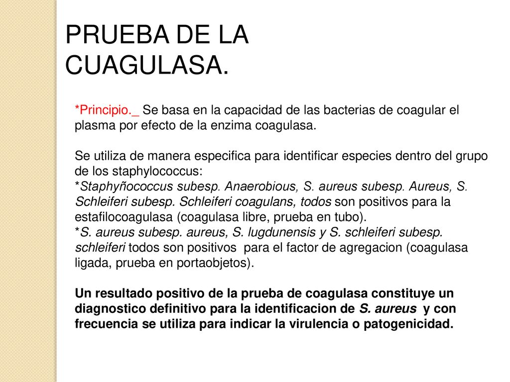 PRUEBA DE LA CUAGULASA. *Principio._ Se basa en la capacidad de las bacterias de coagular el plasma por efecto de la enzima coagulasa.