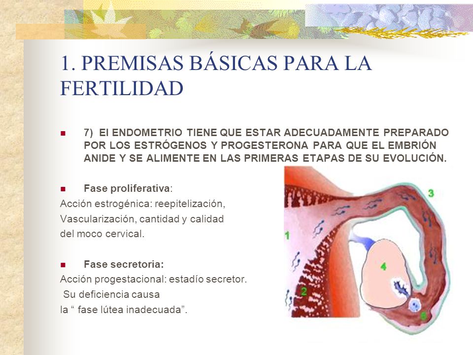 1. PREMISAS BÁSICAS PARA LA FERTILIDAD