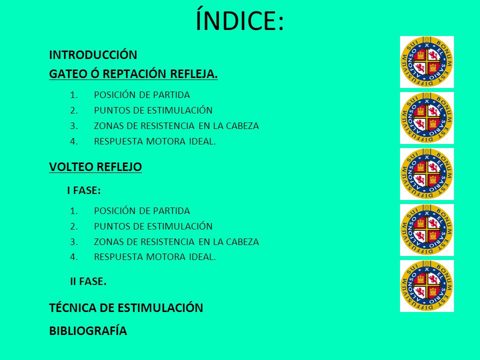 ÍNDICE: INTRODUCCIÓN GATEO Ó REPTACIÓN REFLEJA. VOLTEO REFLEJO I FASE: