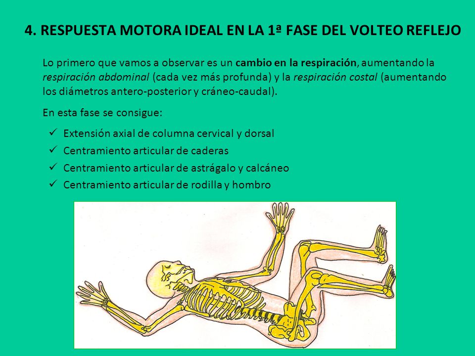 4. RESPUESTA MOTORA IDEAL EN LA 1ª FASE DEL VOLTEO REFLEJO