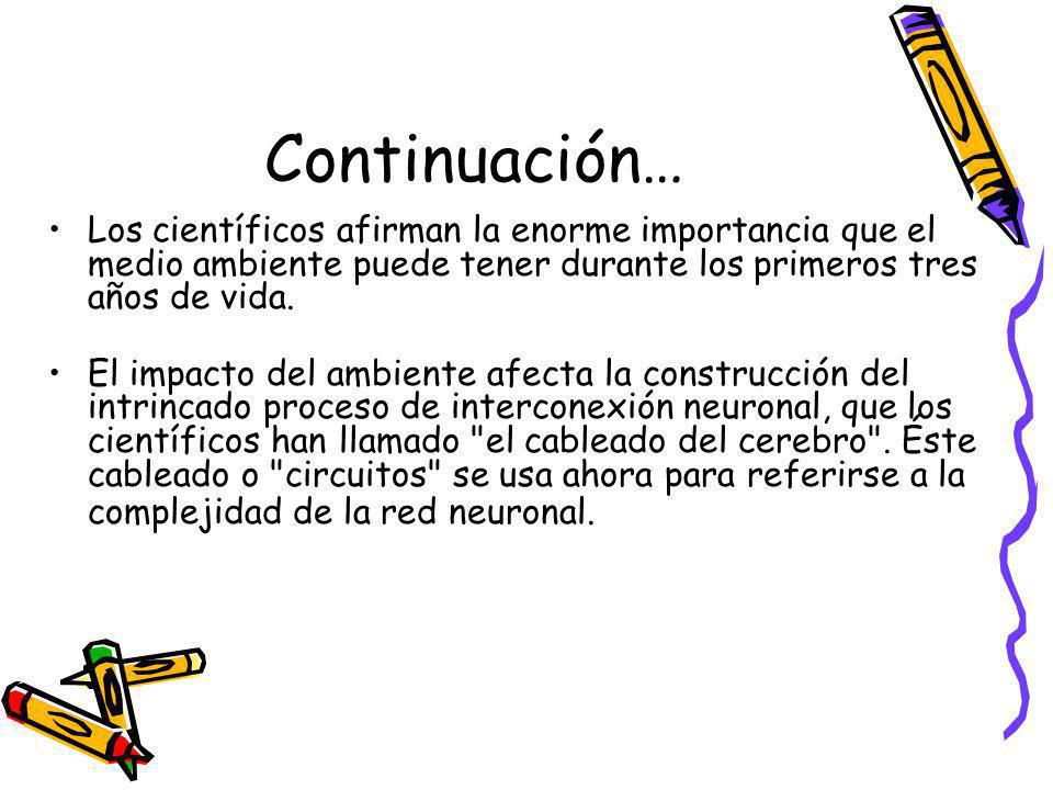 Continuación… Los científicos afirman la enorme importancia que el medio ambiente puede tener durante los primeros tres años de vida.