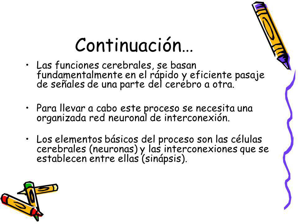 Continuación… Las funciones cerebrales, se basan fundamentalmente en el rápido y eficiente pasaje de señales de una parte del cerebro a otra.