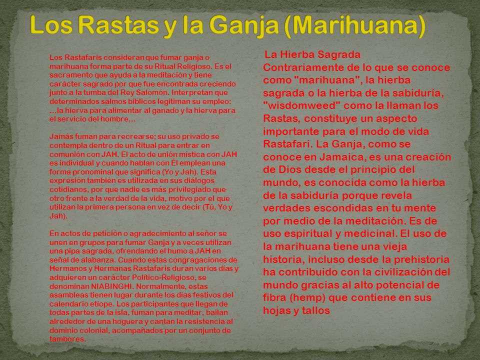 Los Rastas y la Ganja (Marihuana)