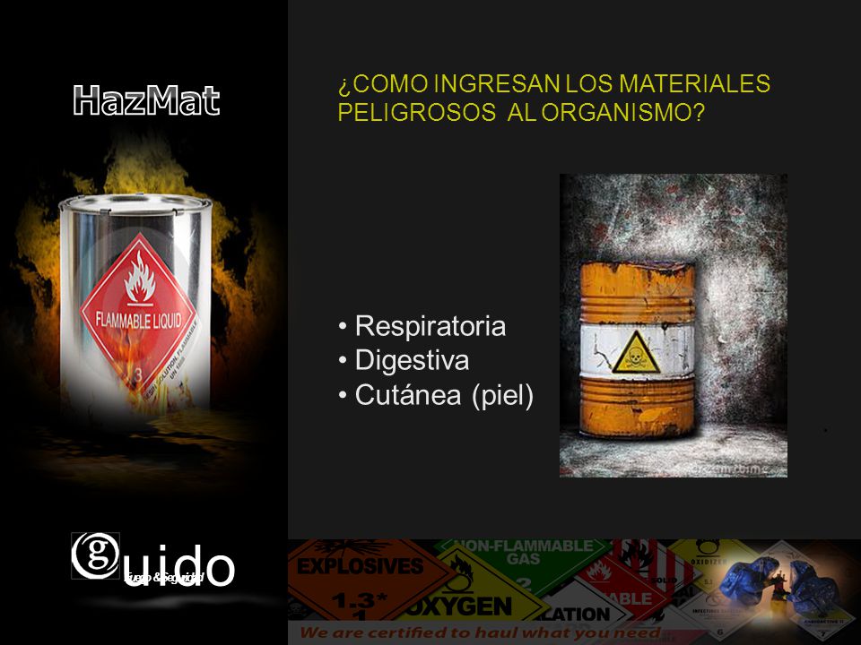 Respiratoria Digestiva Cutánea (piel)